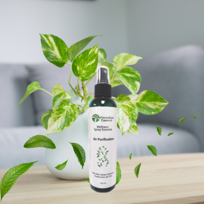 Air Purification Spray 240ml