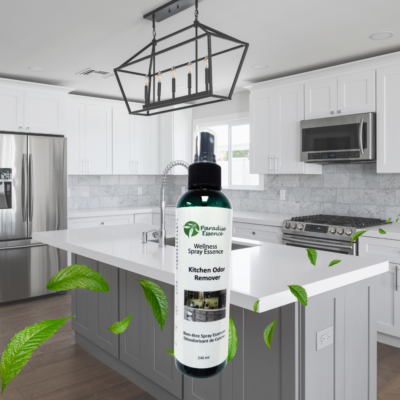 Kitchen Odor Remover 240ml